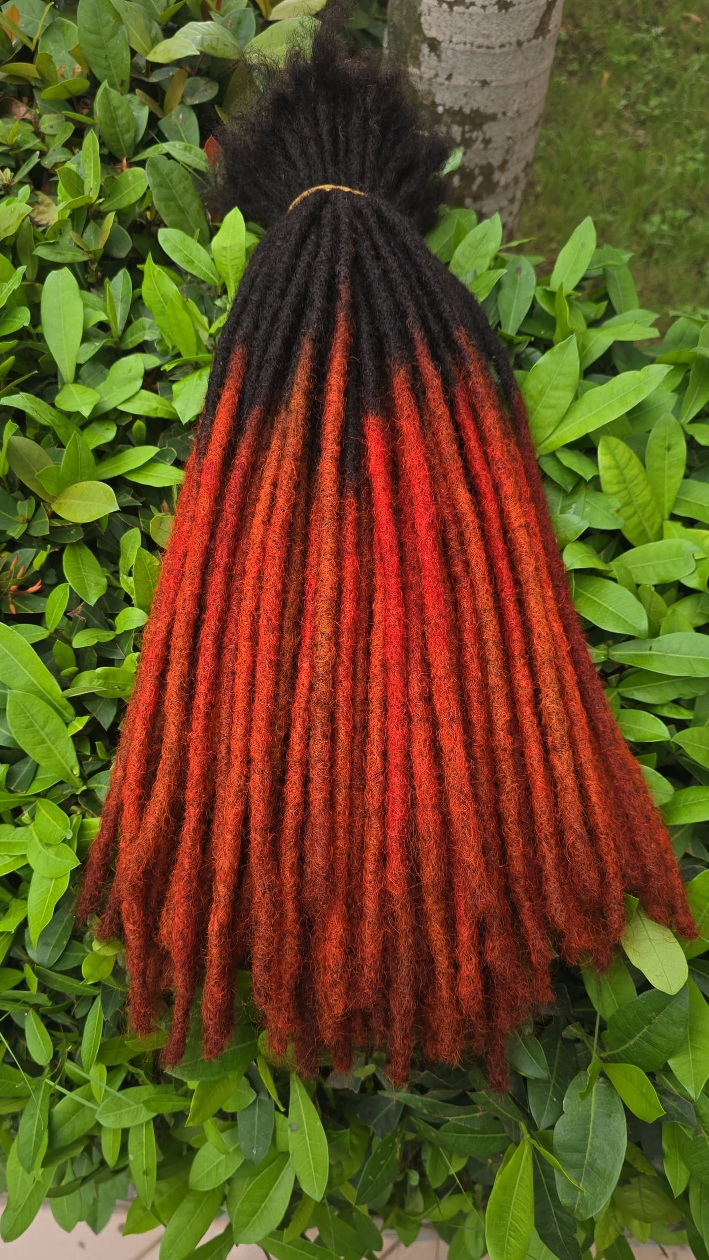 Dreadlocks Piquet Normal Longueur  20