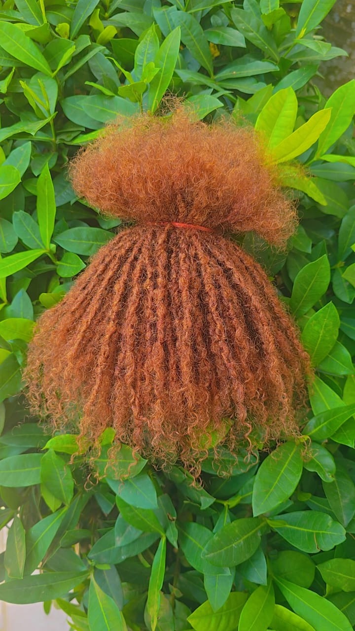 sister locks longueur 6